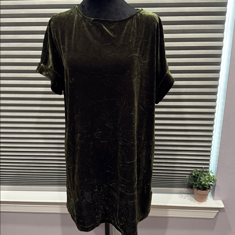 Velvet Short Sleeve Dress
